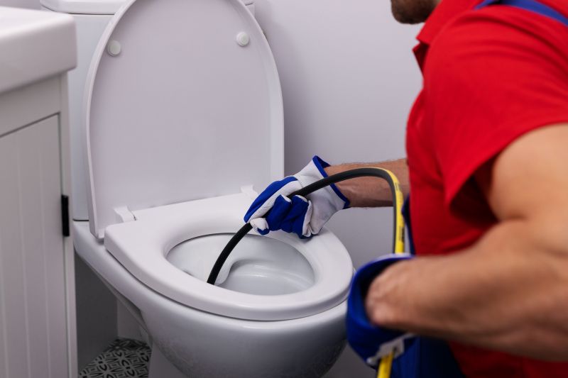 Overflowing Toilet Repair in Denver, CO