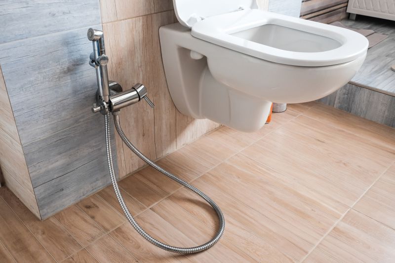 Bidet Installation in Denver, CO