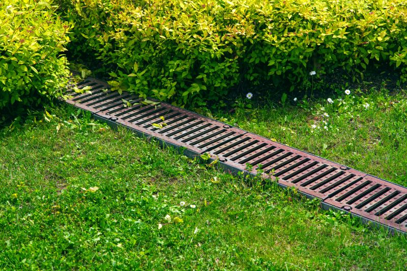 Drainage Unblocking in Denver, CO