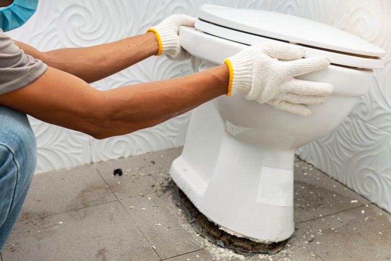 Leaking Toilet Repair in Denver, CO