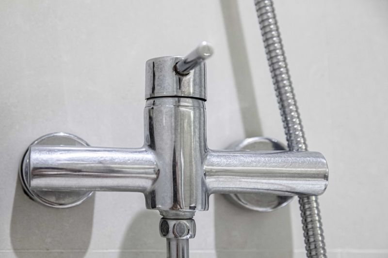Shower Lever Repair in Denver, CO
