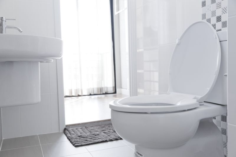 Toilet Removal in Denver, CO