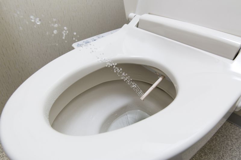 Toilet Repair in Denver, CO