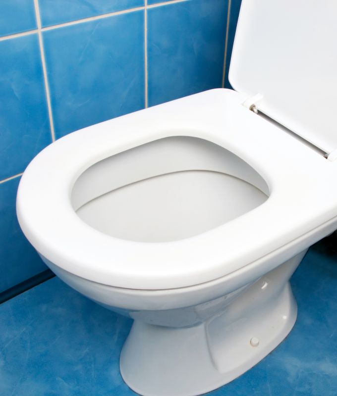 Toilet Service in Denver, CO