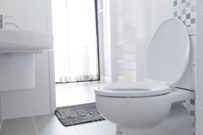 Toilet Service in Denver, CO